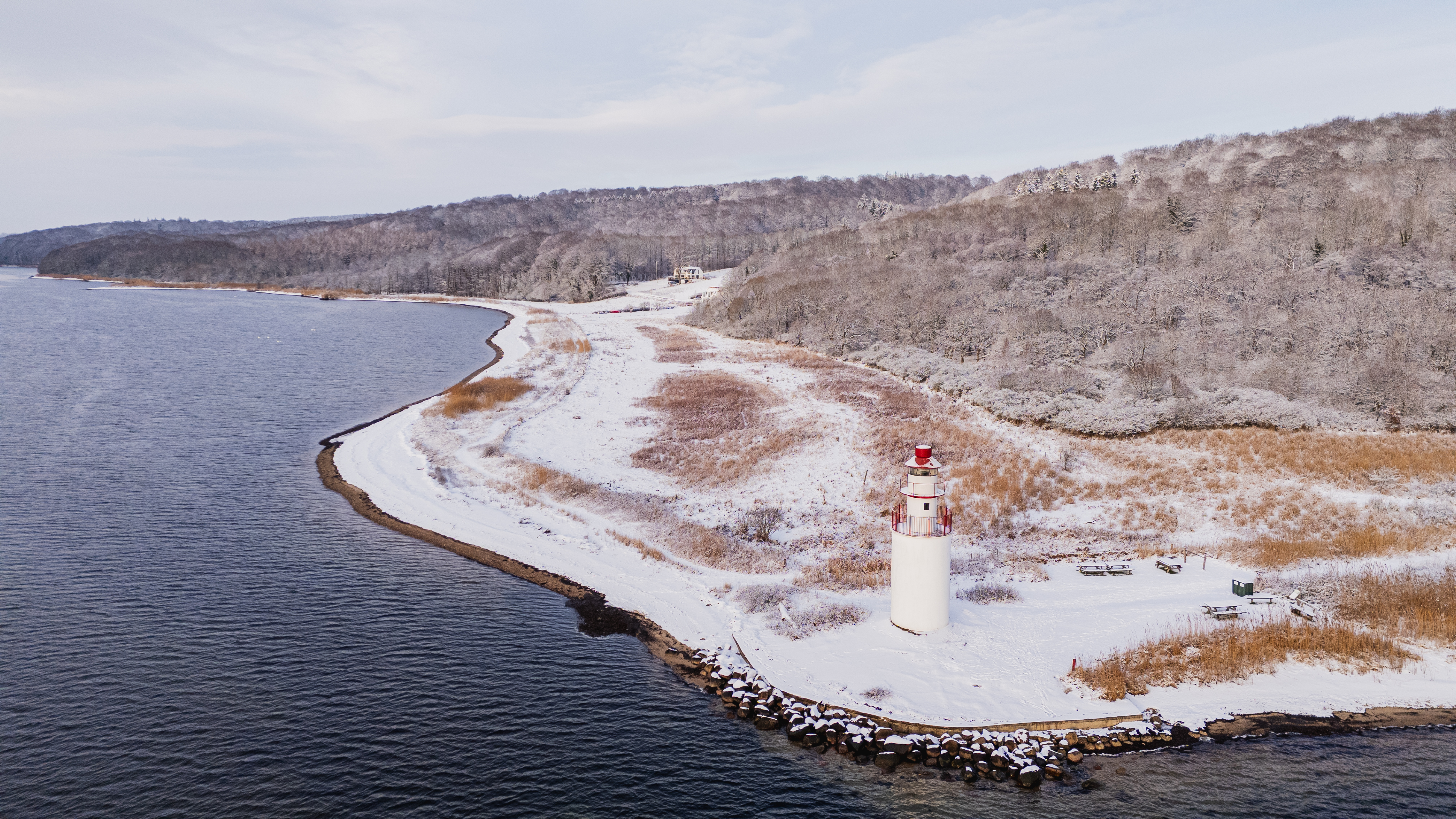 Træskohage fyr dækket i sne