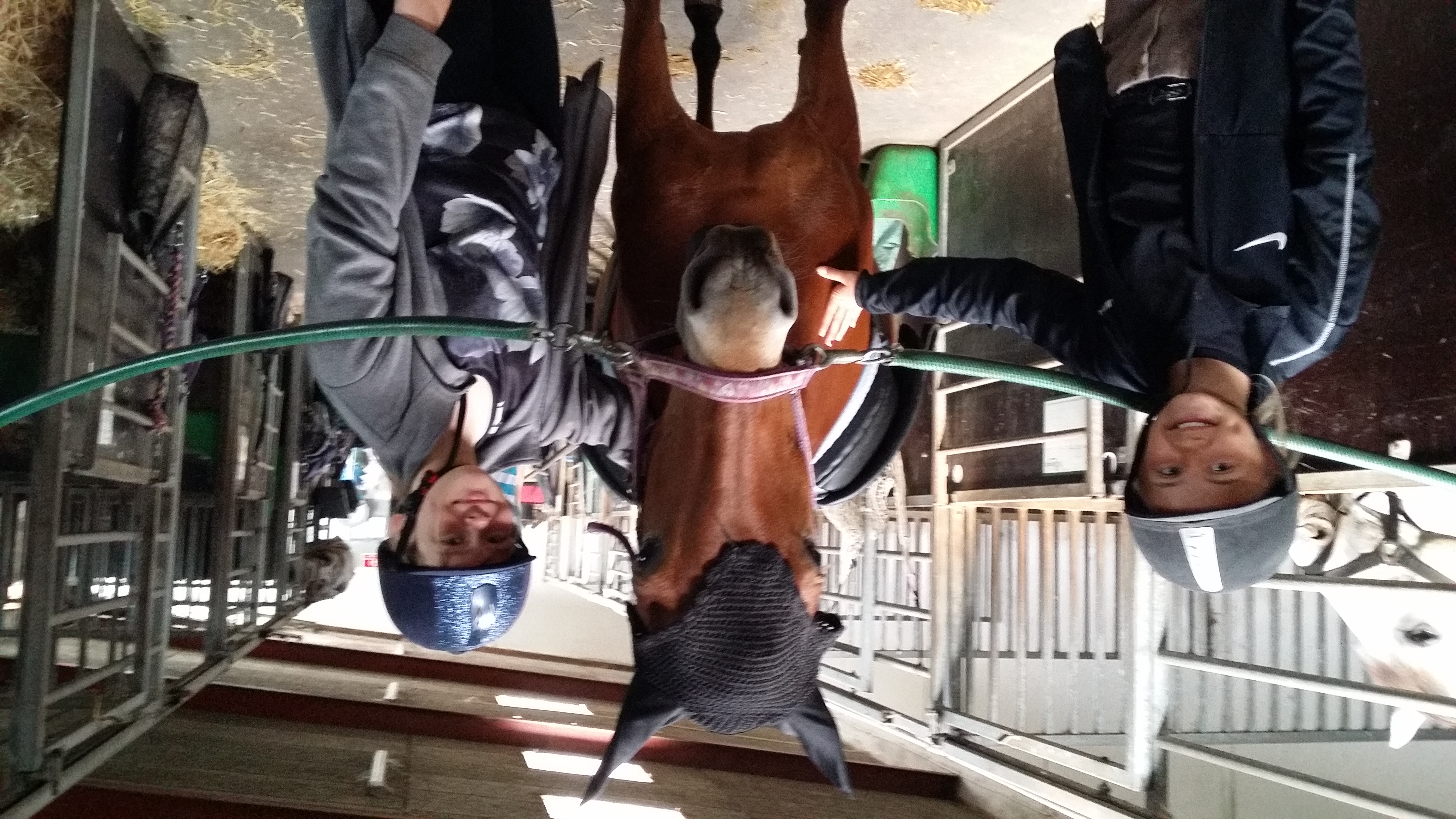 Piger i en stald med en hest