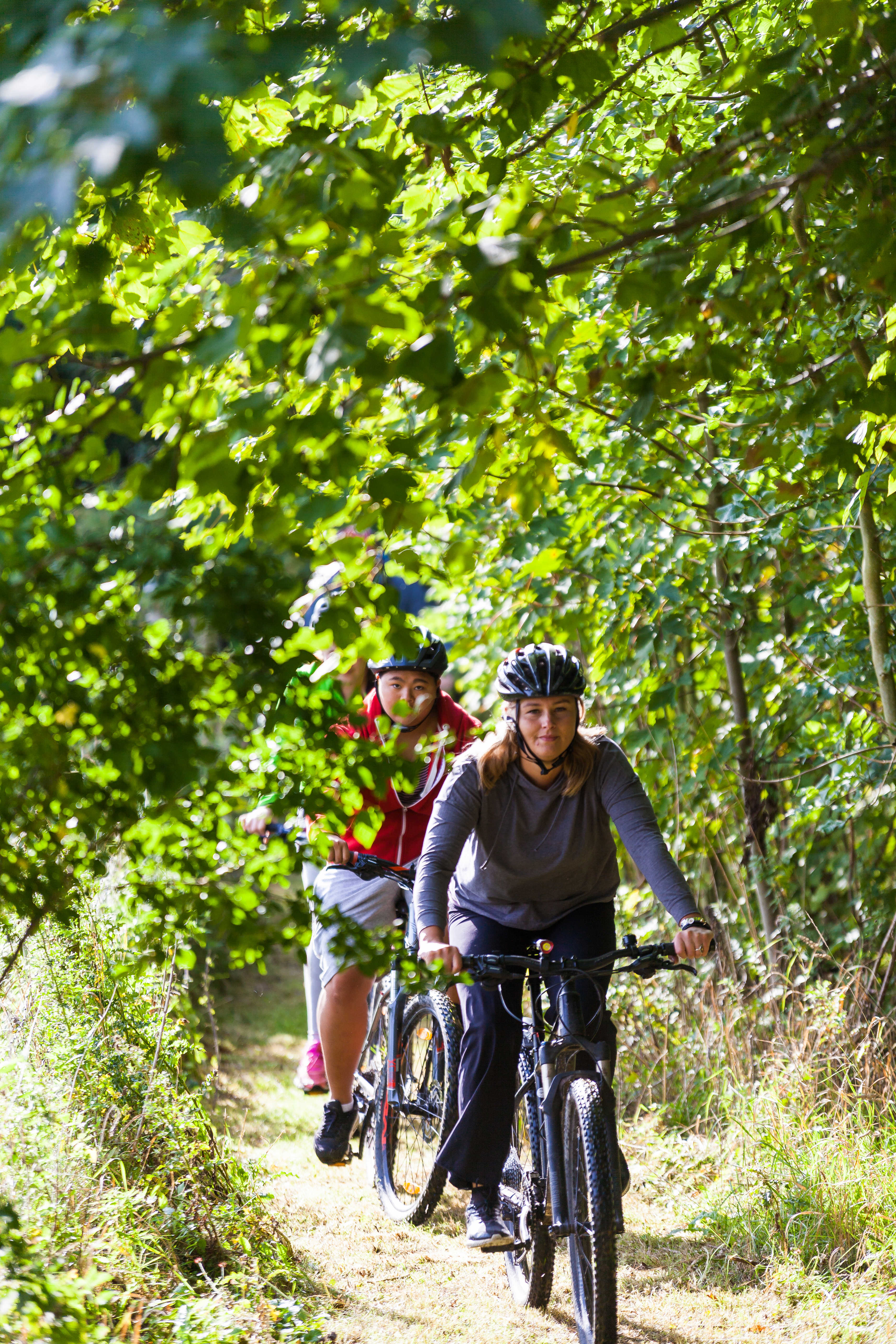 Cykeltur på mountainbikes i naturen omkring Kildebjerget